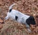 athos7 