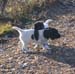 wuf6 14